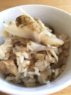 鍋炊き! 香りたつ新ごぼうの炊き込みご飯-レシピのメイン写真