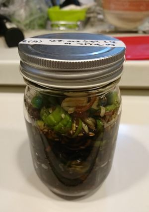 夏野菜の漬け物-レシピのメイン写真