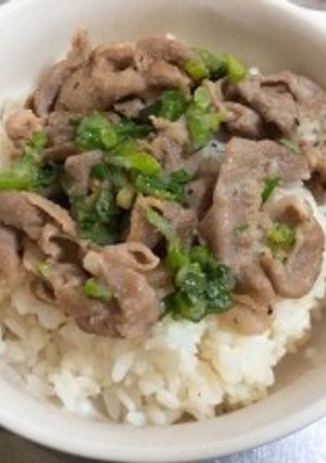 簡単☆ネギと豚肉のやみつき豚丼-レシピのメイン写真