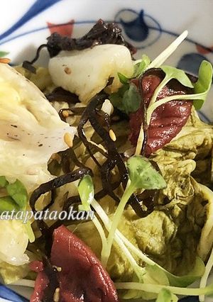 白菜の梅、塩昆布和え-レシピのメイン写真