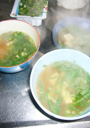 新鮮、葉っぱのシャキシャキ味噌汁-レシピのメイン写真
