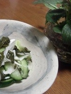 オカワカメの酢の物-レシピのメイン写真