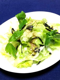 レタスと塩昆布の和風サラダ-レシピのメイン写真