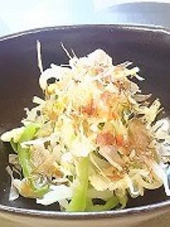 ピーマンともやしのお浸し(透析食)-レシピのメイン写真