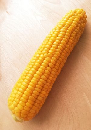 甘みをぎゅっと閉じ込めるトウモロコシ-レシピのメイン写真