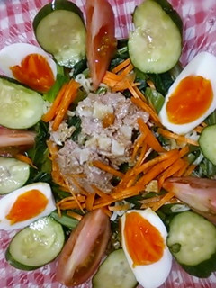 具たっぷりさっぱり冷やしラーメン-レシピのメイン写真