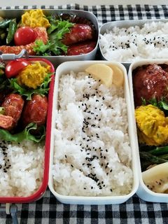 女子高生、男子学生、会社員の私弁当❤25-レシピのメイン写真