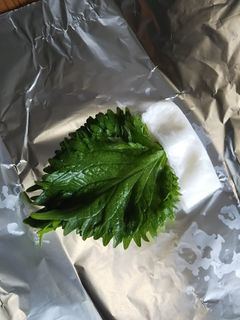 大葉2週間保存方法-レシピのメイン写真