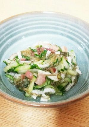夏野菜たっぷり！簡単山形のだし風-レシピのメイン写真