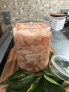 新生姜の甘酢-レシピのメイン写真