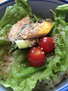 サラダモリモリ冷やしらーめん-レシピのメイン写真