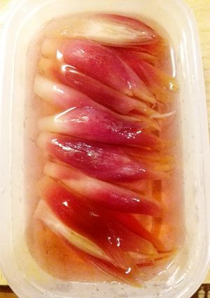 みょうがの甘酢漬け-レシピのメイン写真