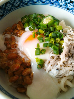 ネバネバ冷やしぶっかけうどん-レシピのメイン写真