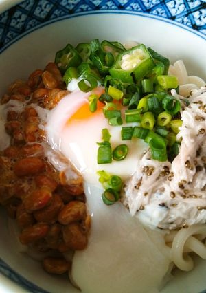ネバネバ冷やしぶっかけうどん-レシピのメイン写真