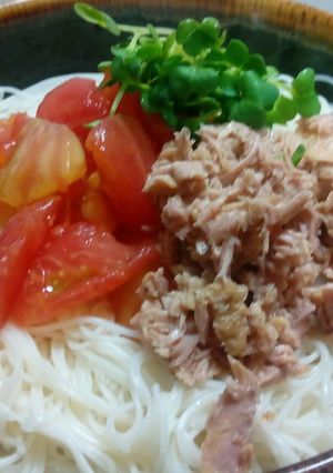 素麺　ツナマヨ-レシピのメイン写真