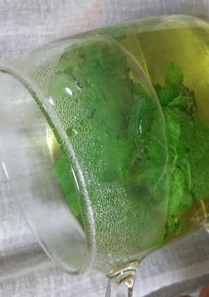 生ミントでミントtea＆ミントスプレー-レシピのメイン写真