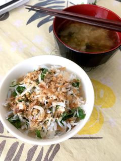 簡単◎おかかしそしらす丼-レシピのメイン写真