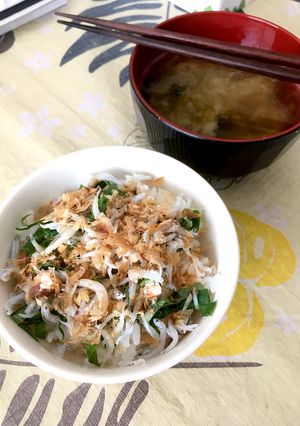 簡単◎おかかしそしらす丼-レシピのメイン写真