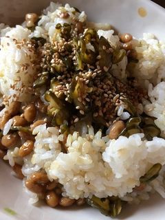納豆とキュウリの佃煮のまぜご飯-レシピのメイン写真