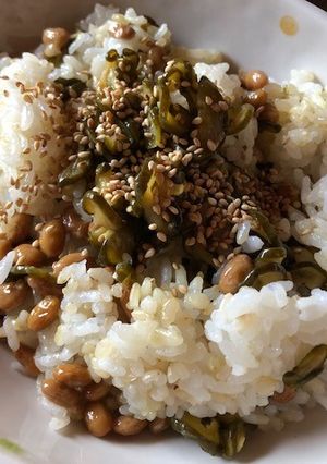 納豆とキュウリの佃煮のまぜご飯-レシピのメイン写真