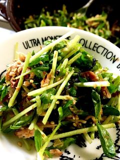 無限豆苗 混ぜるだけ!塩昆布おかか和え-レシピのメイン写真