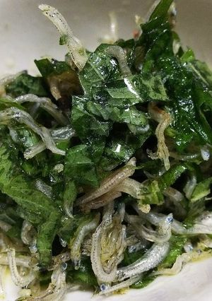 目指せ！美肌！ちりめんじゃこの和え物-レシピのメイン写真