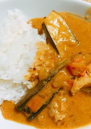 骨つき鶏肉となすのマイルドカレー-レシピのメイン写真