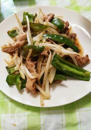 ピーマンと豚肉の炒め物-レシピのメイン写真
