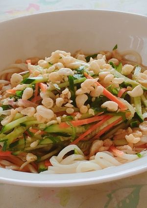 夏 定番 ♡ 我が家の冷やしうどん-レシピのメイン写真