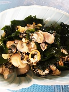 ツブ貝とワカメの酢の物-レシピのメイン写真