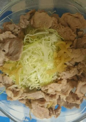 簡単生姜焼きサラダ-レシピのメイン写真