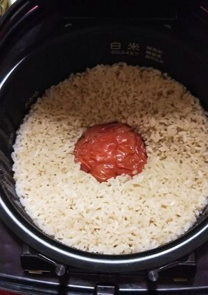 ほかほか☆トマトご飯-レシピのメイン写真