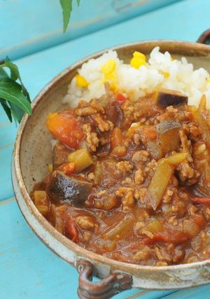 ☆ナスとトマトのキーマカレー☆-レシピのメイン写真