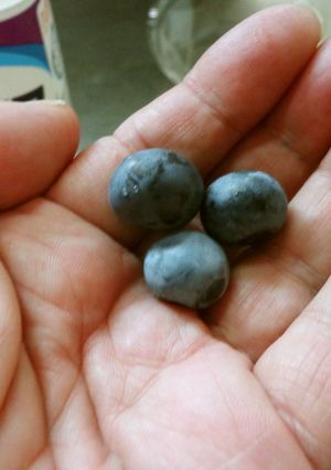 最適の生ブルーベリーの食べ方-レシピのメイン写真