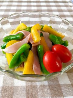 夏野菜マリネ-レシピのメイン写真