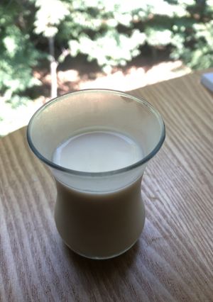 濃厚 豆乳プリン 低糖質&超簡単!-レシピのメイン写真