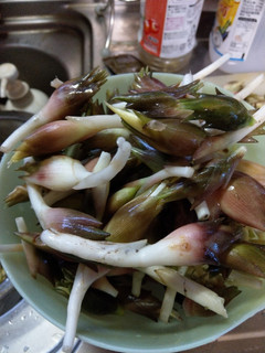 新鮮みようがの甘酢漬け-レシピのメイン写真