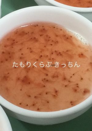 パンナコッタ-レシピのメイン写真