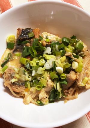 うなぎと豆腐煮-レシピのメイン写真