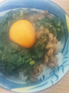 月見ネバネバ丼(夏)-レシピのメイン写真