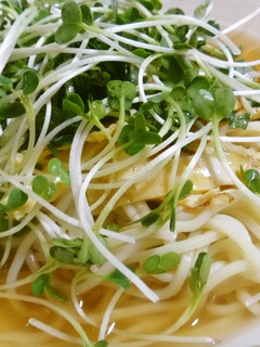 【簡単夏麺】すだち麺-レシピのメイン写真