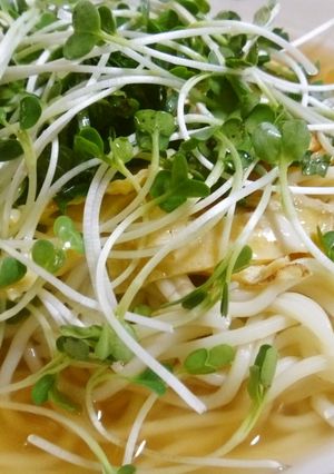 【簡単夏麺】すだち麺-レシピのメイン写真