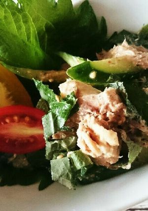 鯖缶ワンボウルサラダ-レシピのメイン写真