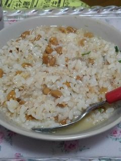 冷やし納豆ご飯-レシピのメイン写真