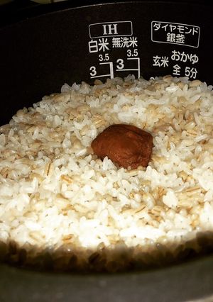 もち麦梅干しごはん簡単夏向け-レシピのメイン写真