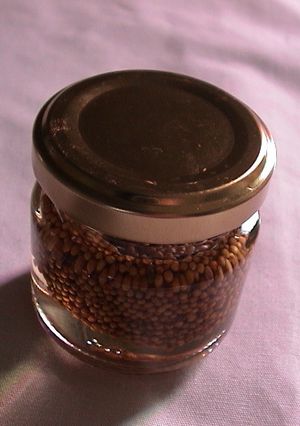 すし酢でマスタードビネガー-レシピのメイン写真