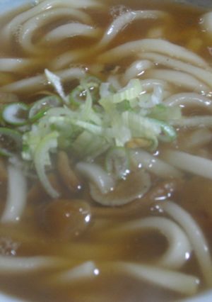 薬味とろとろうどん-レシピのメイン写真