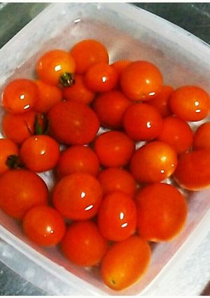 ミニトマト保存方法-レシピのメイン写真