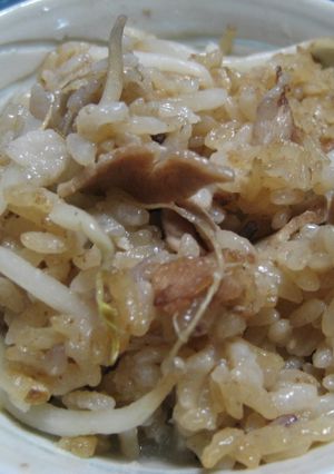 がっつり系♪豚ともやしの混ぜご飯-レシピのメイン写真