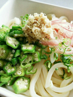 刻みオクラと薬味の冷しうどん-レシピのメイン写真